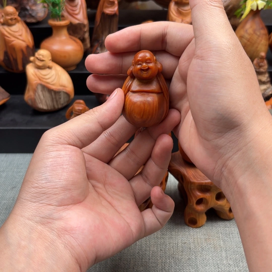 工***哥柏木（崖柏）太行崖柏