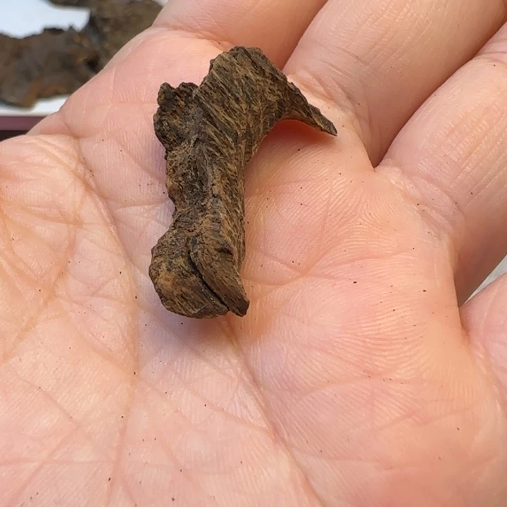 摆件沉香老海南沉水黎侗包头1克