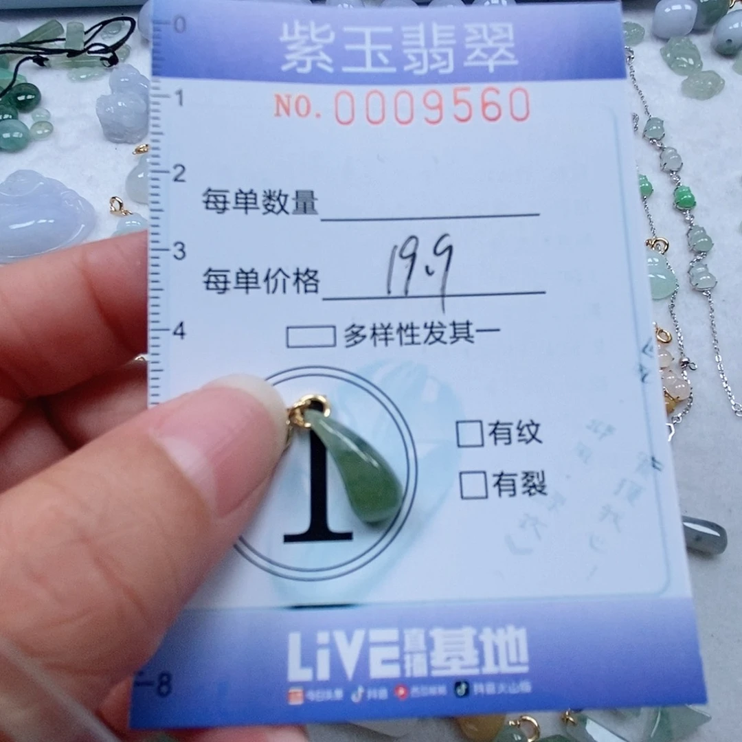 翡翠未镶嵌颈饰冰透水滴