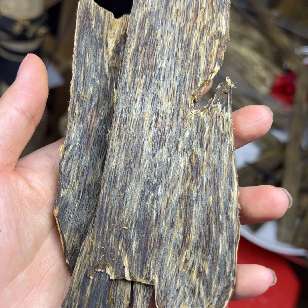 线香奇楠虫漏香22克