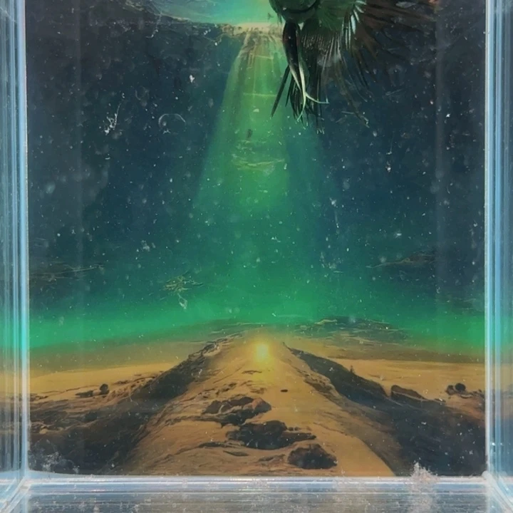 斗鱼哈哈真的超级喜欢这种