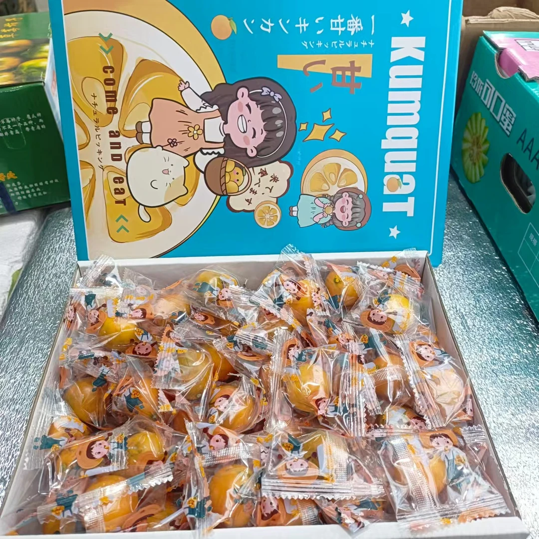 脆蜜金柑礼盒（坏果包赔）