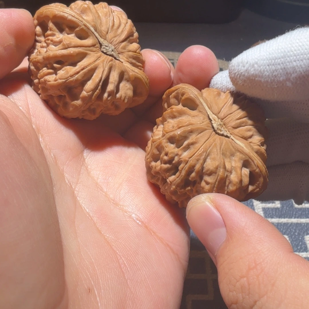 把件文玩核桃白狮子