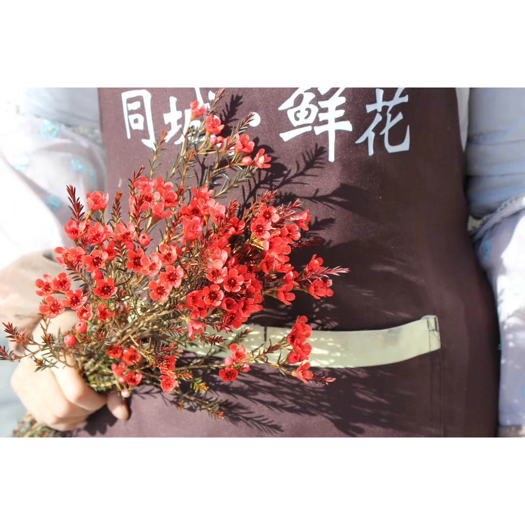 48方德喷色复古红色玫瑰10支+红腊梅一小把+红康10支+红银柳一把