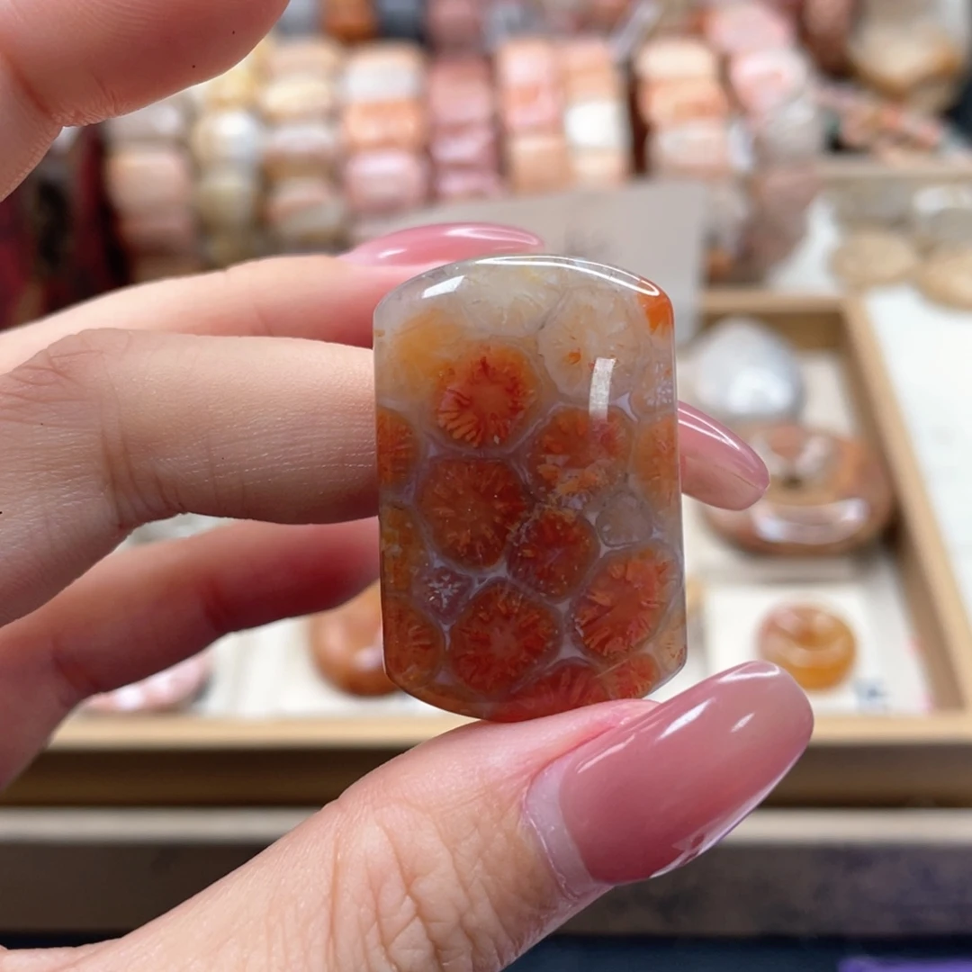 硅化珊瑚（珊瑚玉）手链未镶嵌༂*露755