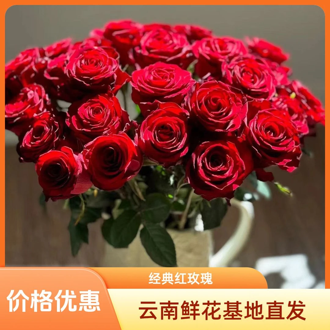 【10枝  红玫瑰】全场鲜花任意满2单及以上 升级顺丰包邮