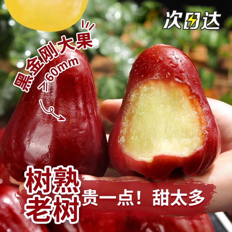 新鲜3斤泰国莲雾果黑金刚水果当季连雾莲脆甜洋蒲桃