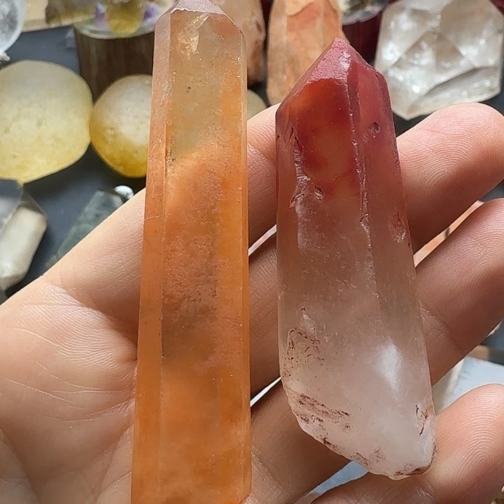 石材红兔毛一对福利