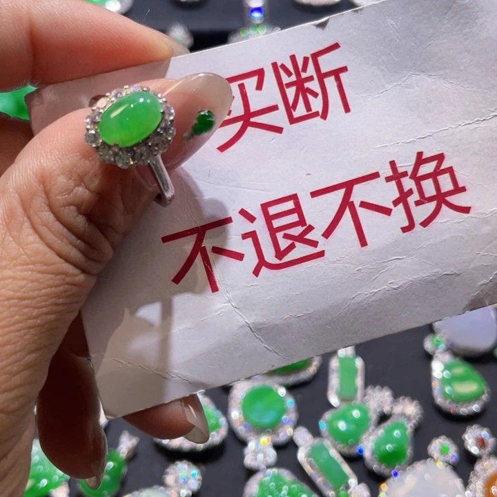 翡翠银S925镶嵌颈饰