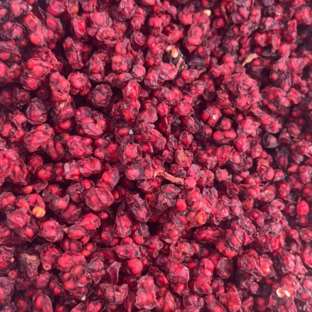 五味子怒江雪山五味子