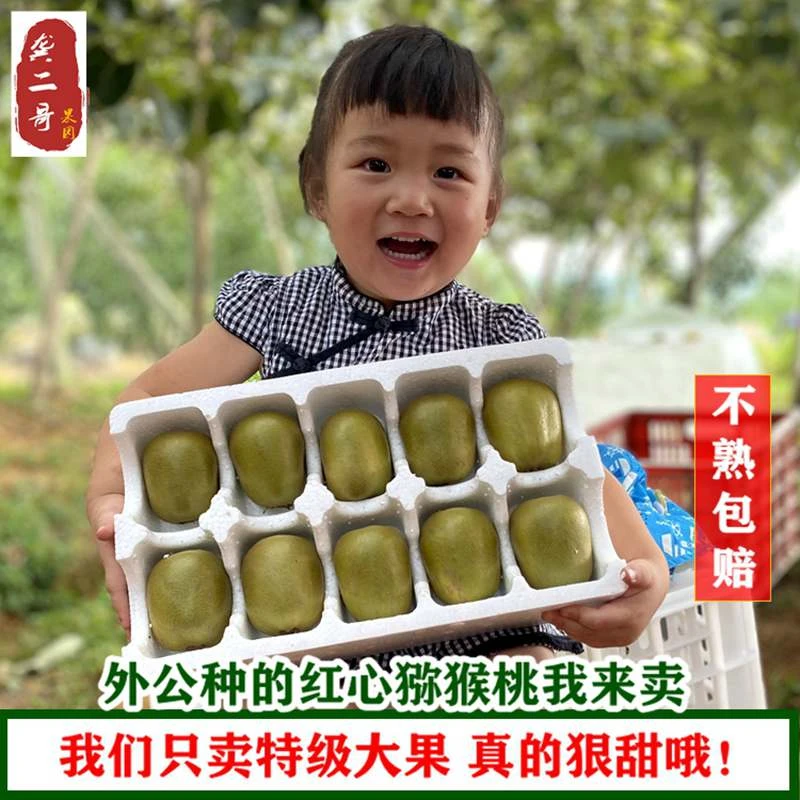 正宗四川蒲江红心猕猴桃红心当季新鲜水果奇异果香甜多汁孕妇适用