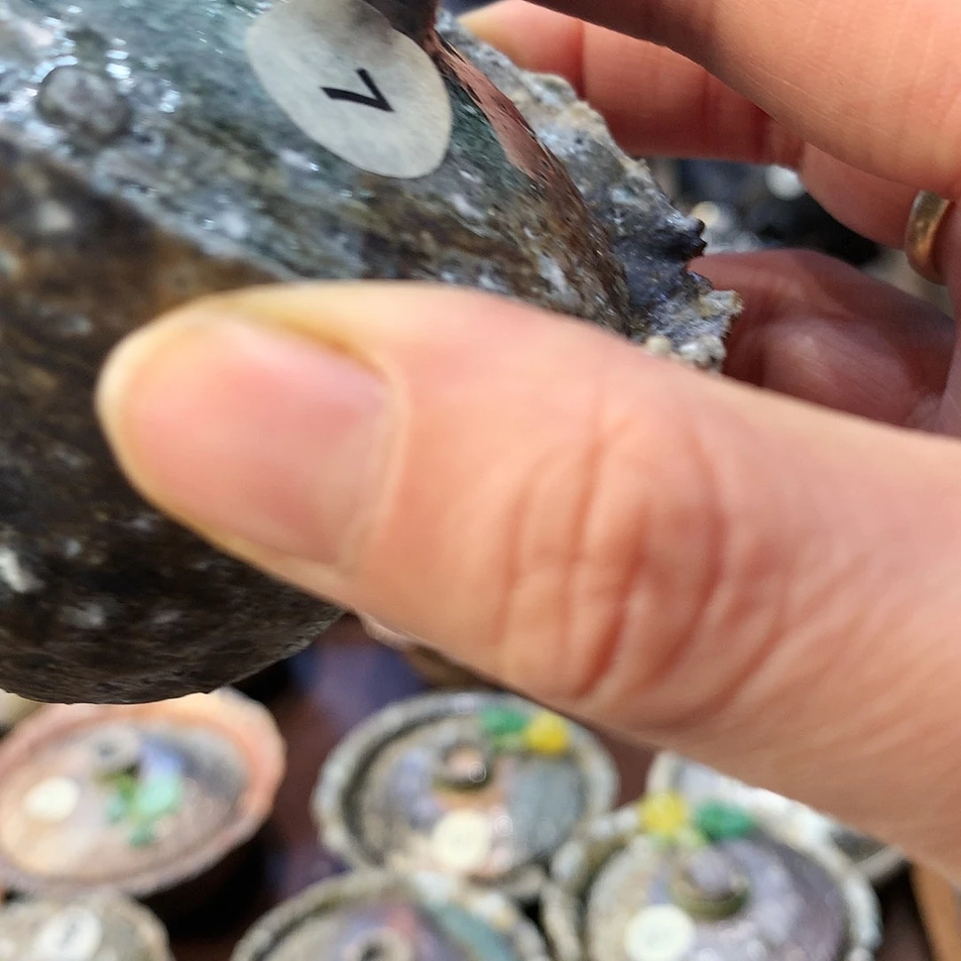 特价福利 手工茶席瀞*