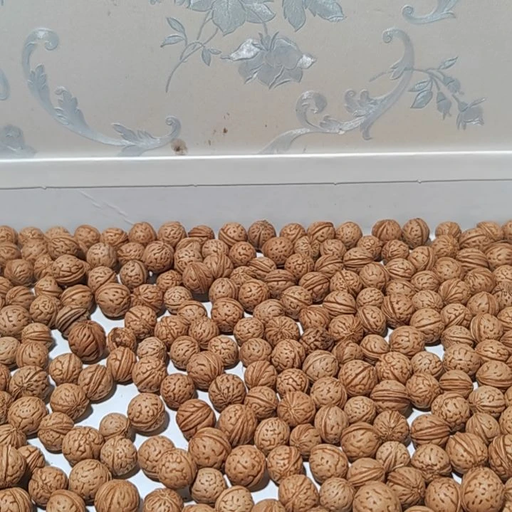 森***马桃核吊坠野生小桃核去皮一棵树不退不换不售后