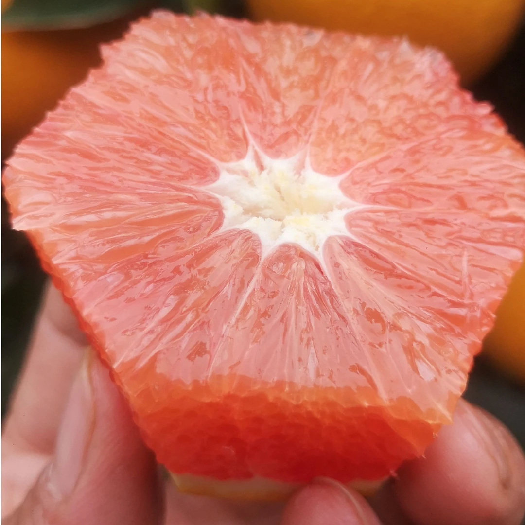 正宗血橙赣南脐橙红肉橙子产地直发现摘现发20斤包邮江西橙子