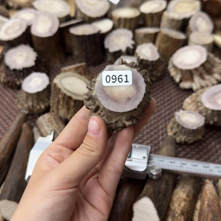 手串/手链鹿骨0961角帽