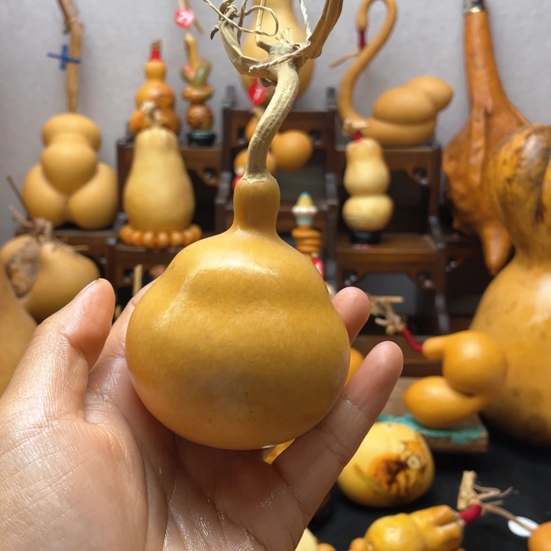 茶*大自然的秘密第十节第