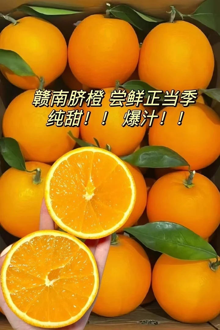 赣南脐橙5斤装小果