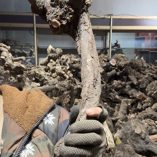 香榧木罗*坊火琉璃的毛料摆件