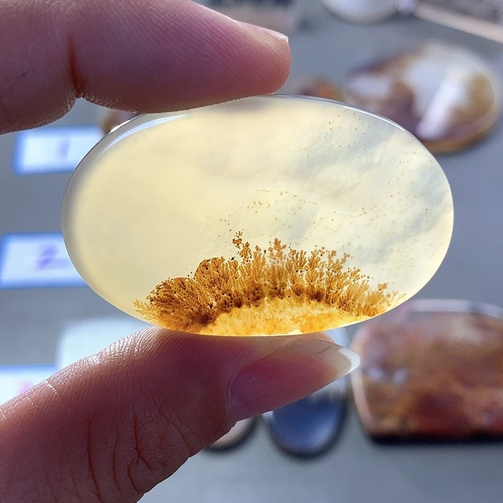 未镶嵌颈饰玛瑙/玉髓