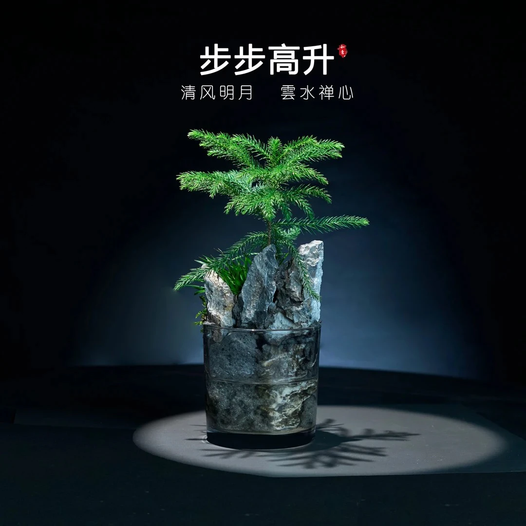 山水桌面景观10*10尺寸禅意点缀