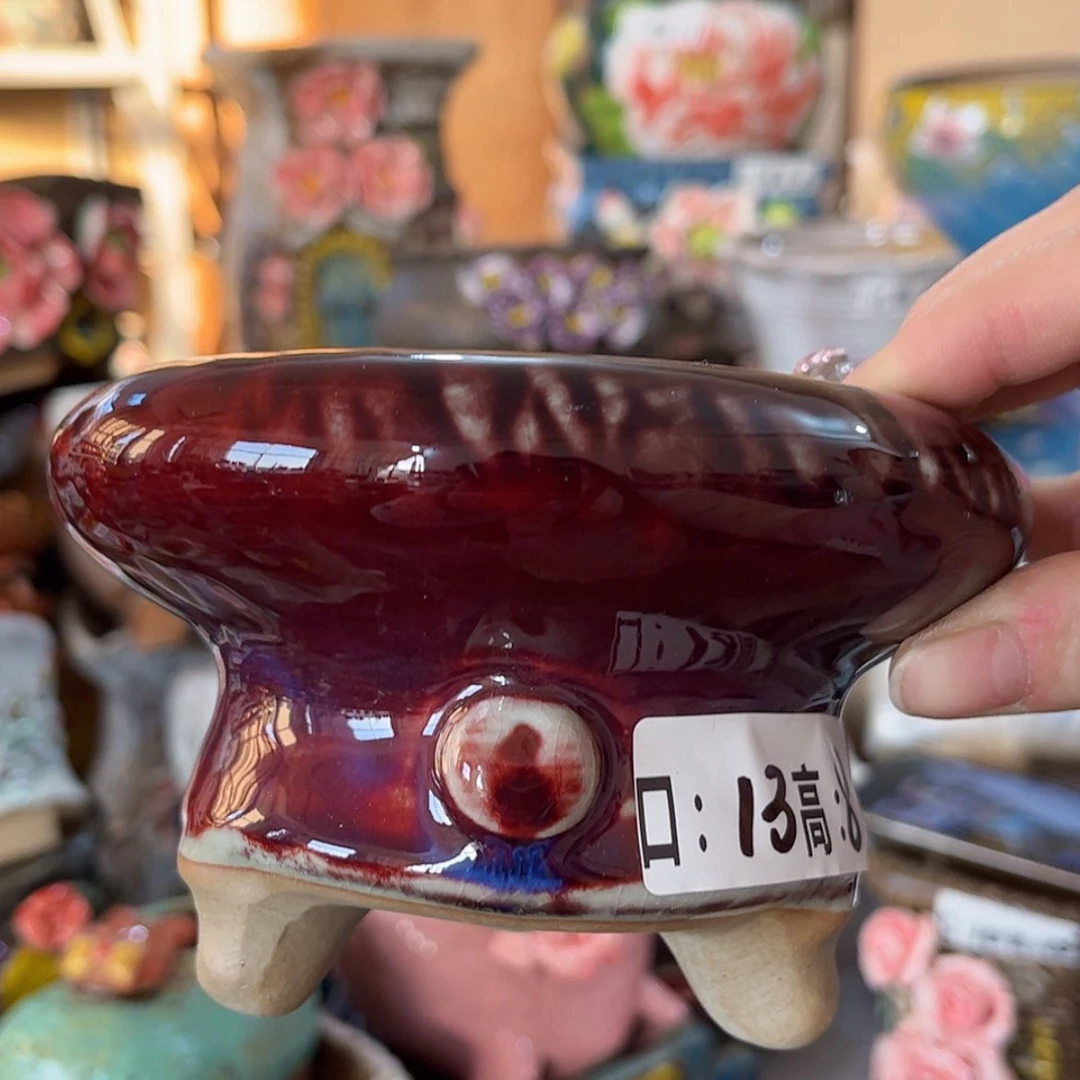 【闪购商品】红陶福利