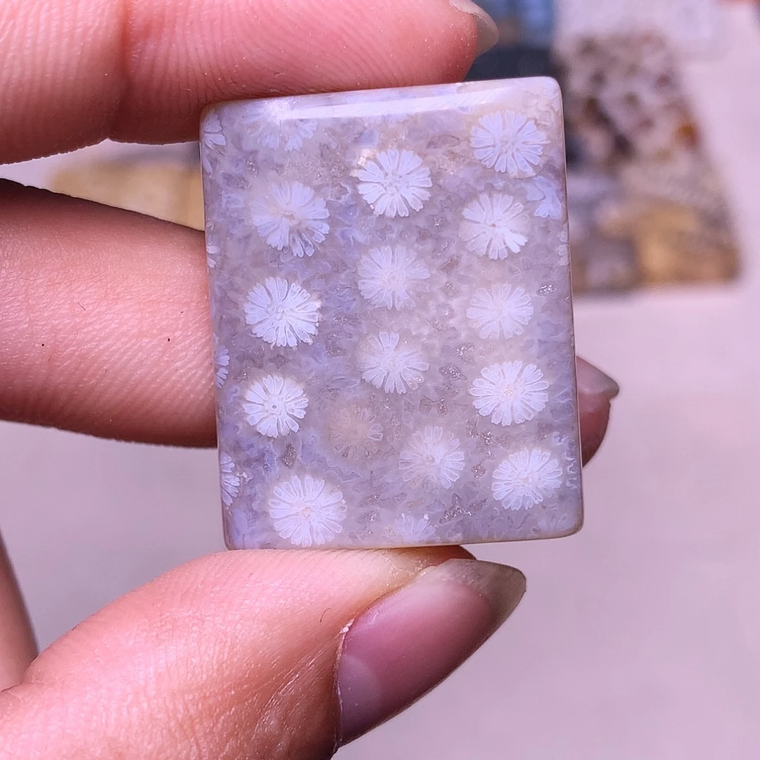 伊***凡硅化玉合金珊瑚玉