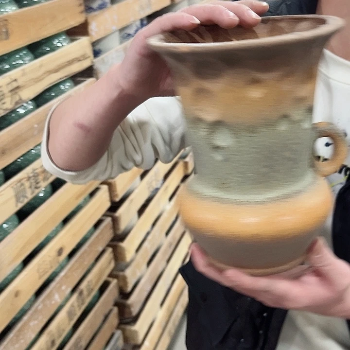 陶瓷陶瓷多肉植物花盆