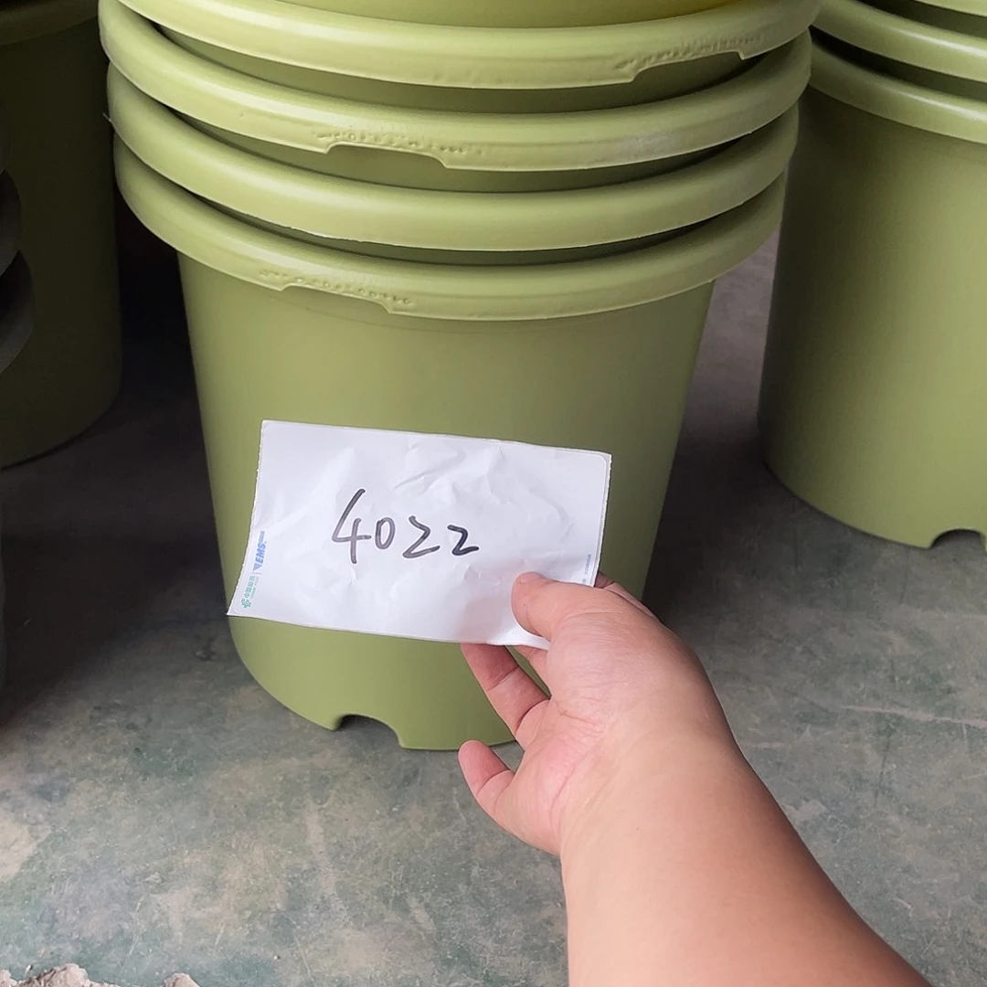 玄*编号是4022的编号