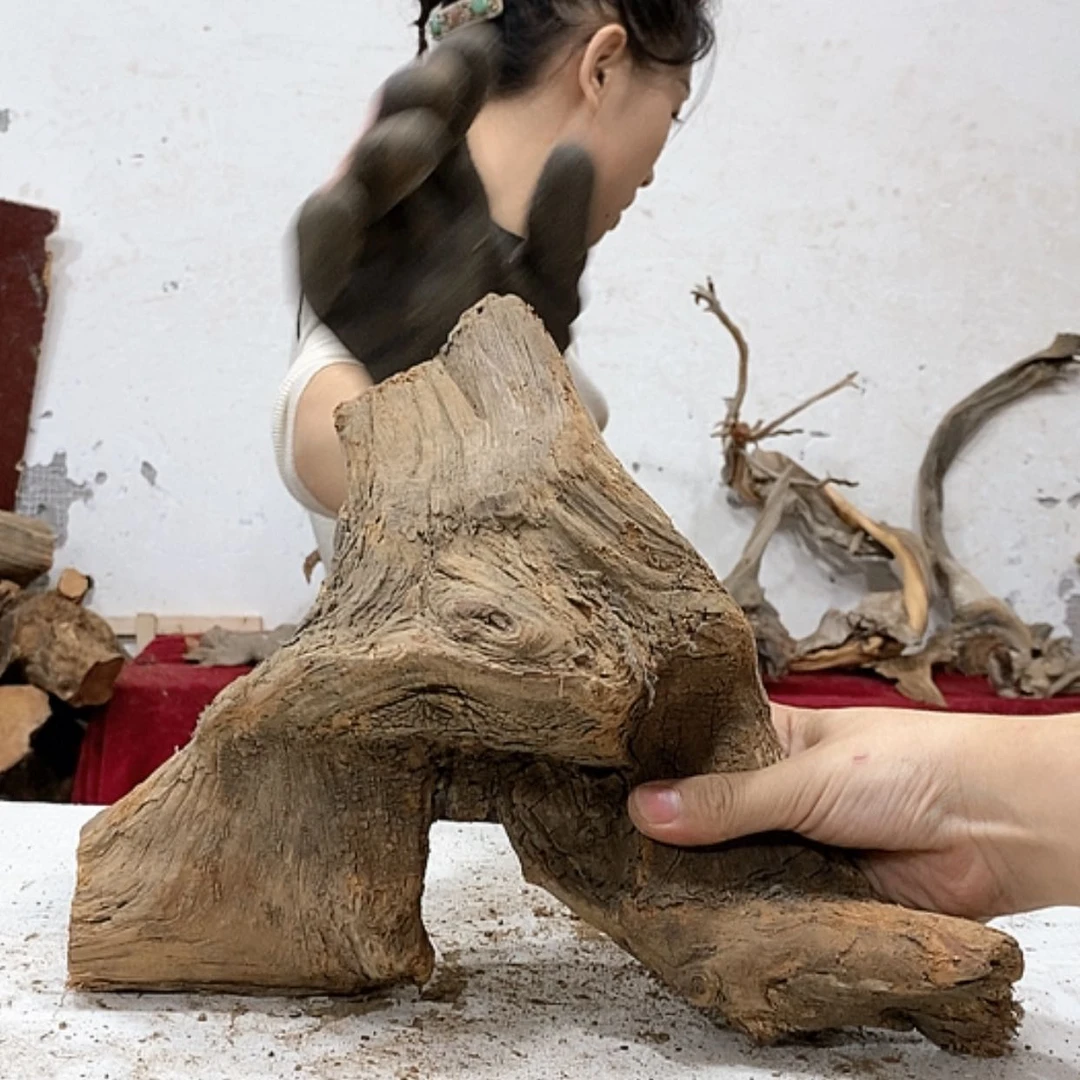 【闪购商品】柏木艺*阁我们都是好孩子