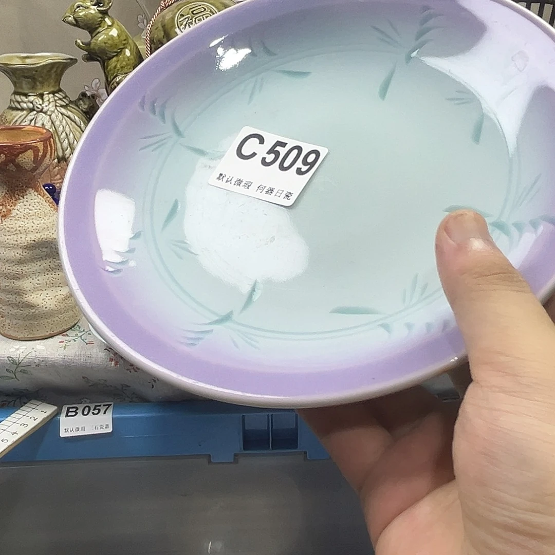 取***难瓷片aaaaaaaaaC509