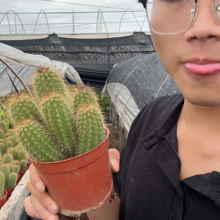 黑***院无花朵牛牛哈哈哈哈哈哈哈