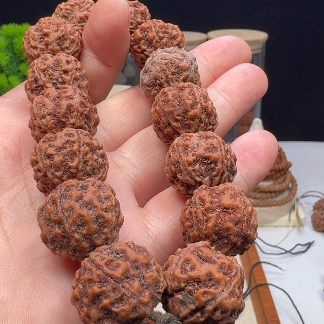 手串金刚菩提小刚蛋