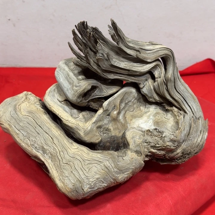 亲***然香榧木客服18832259591