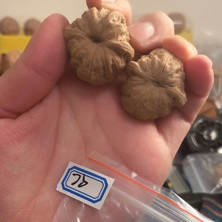 吊坠桃核核桃元宝