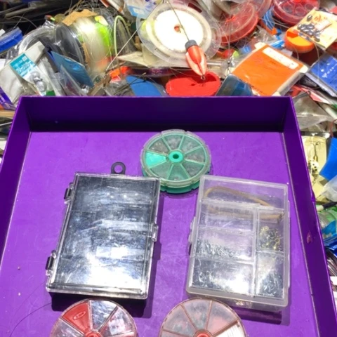 五个一起开始拍啦