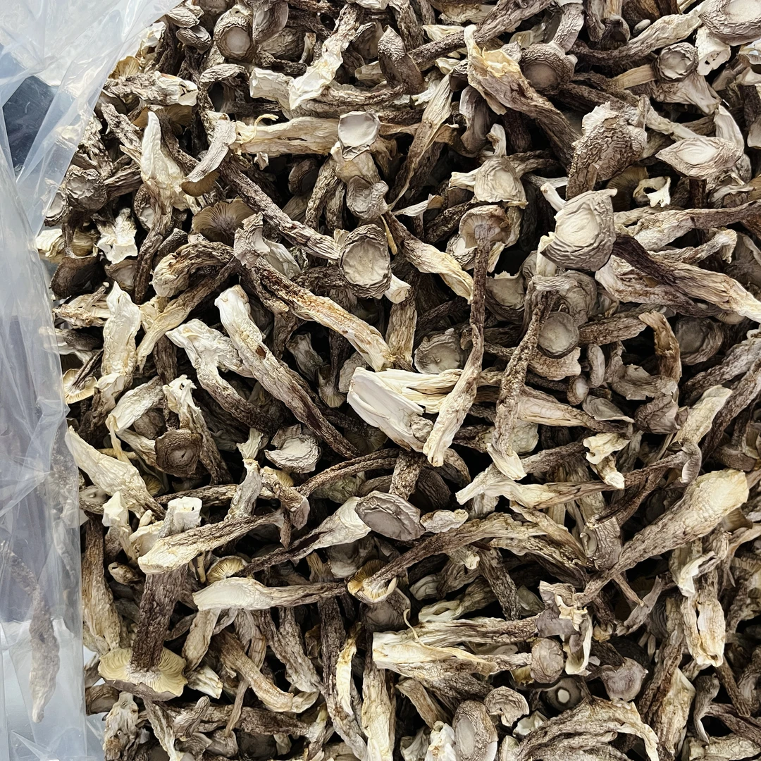 【鹿茸姑】新货食用菌姑