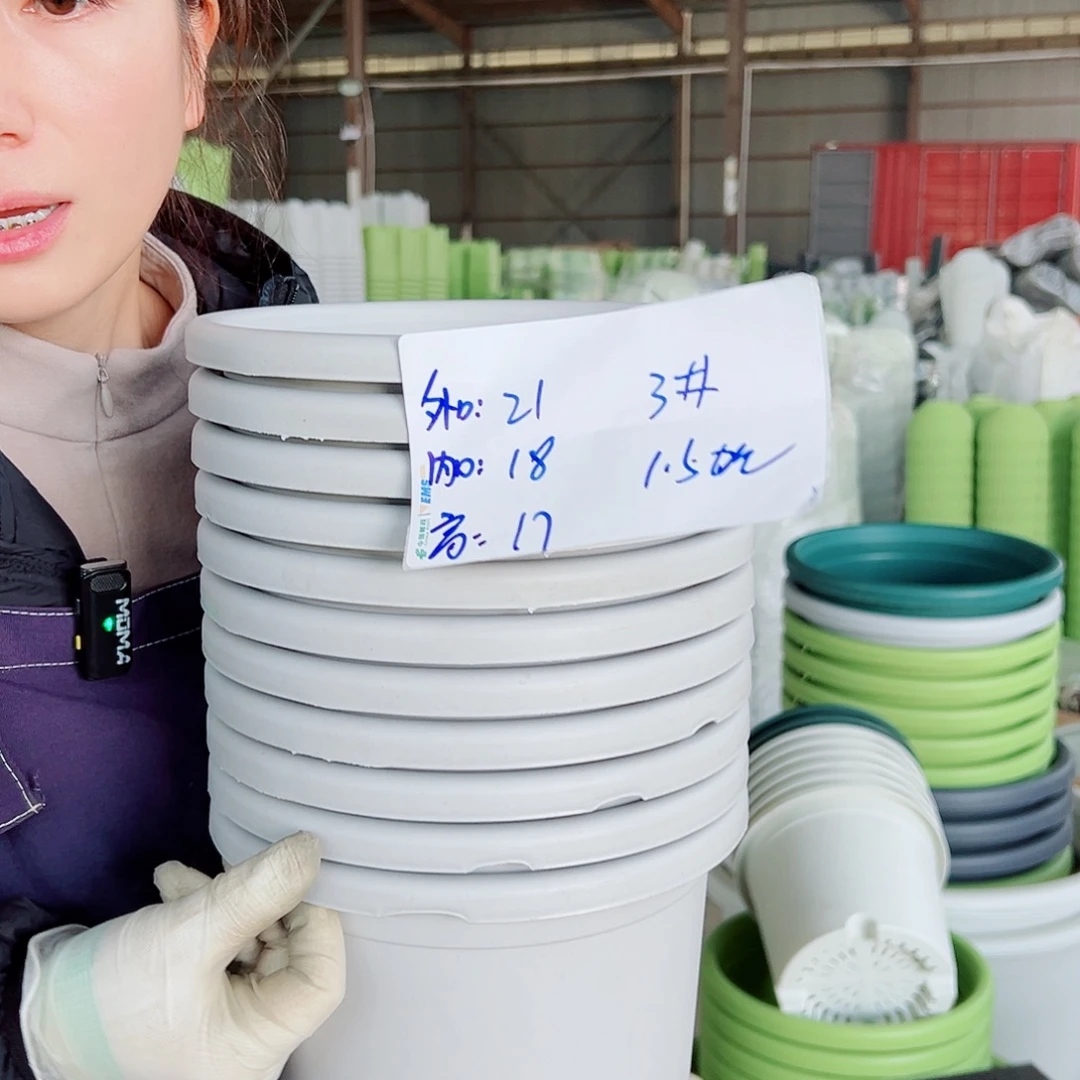 瑕疵四季盆3#灰白10个无托