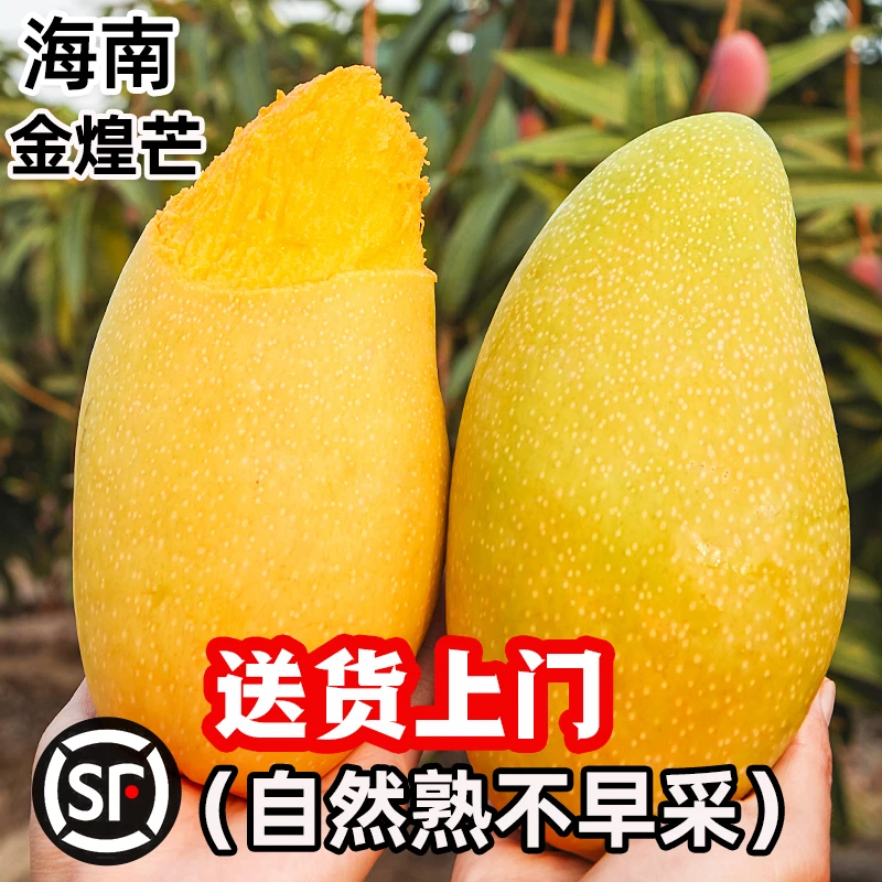 官方补贴【树上熟】金煌芒果水仙芒应季大青芒新鲜香甜鲜嫩多汁新鲜芒果