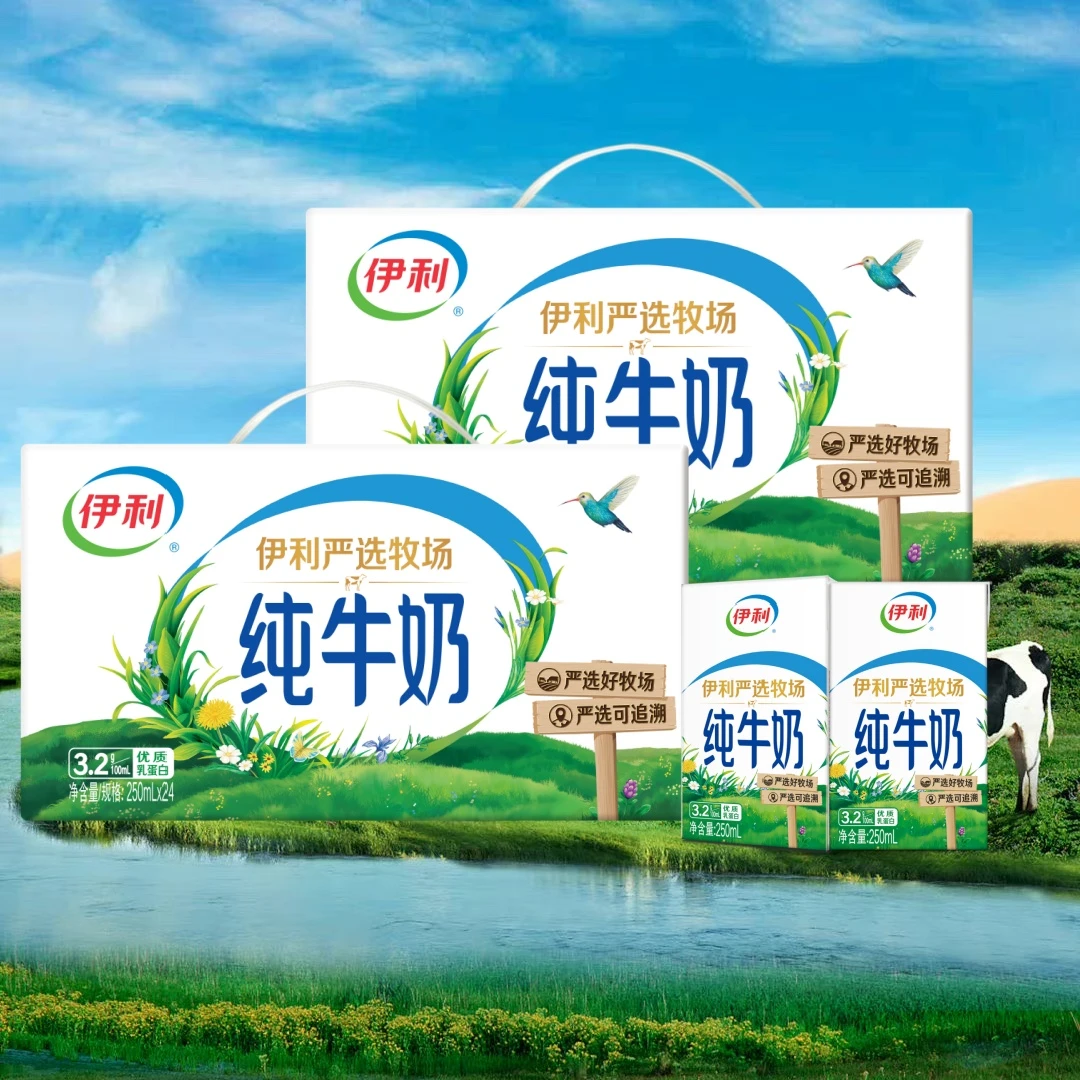 2箱12月产伊利纯牛奶250ml*24盒整箱优质乳蛋白学生成人早餐纯奶