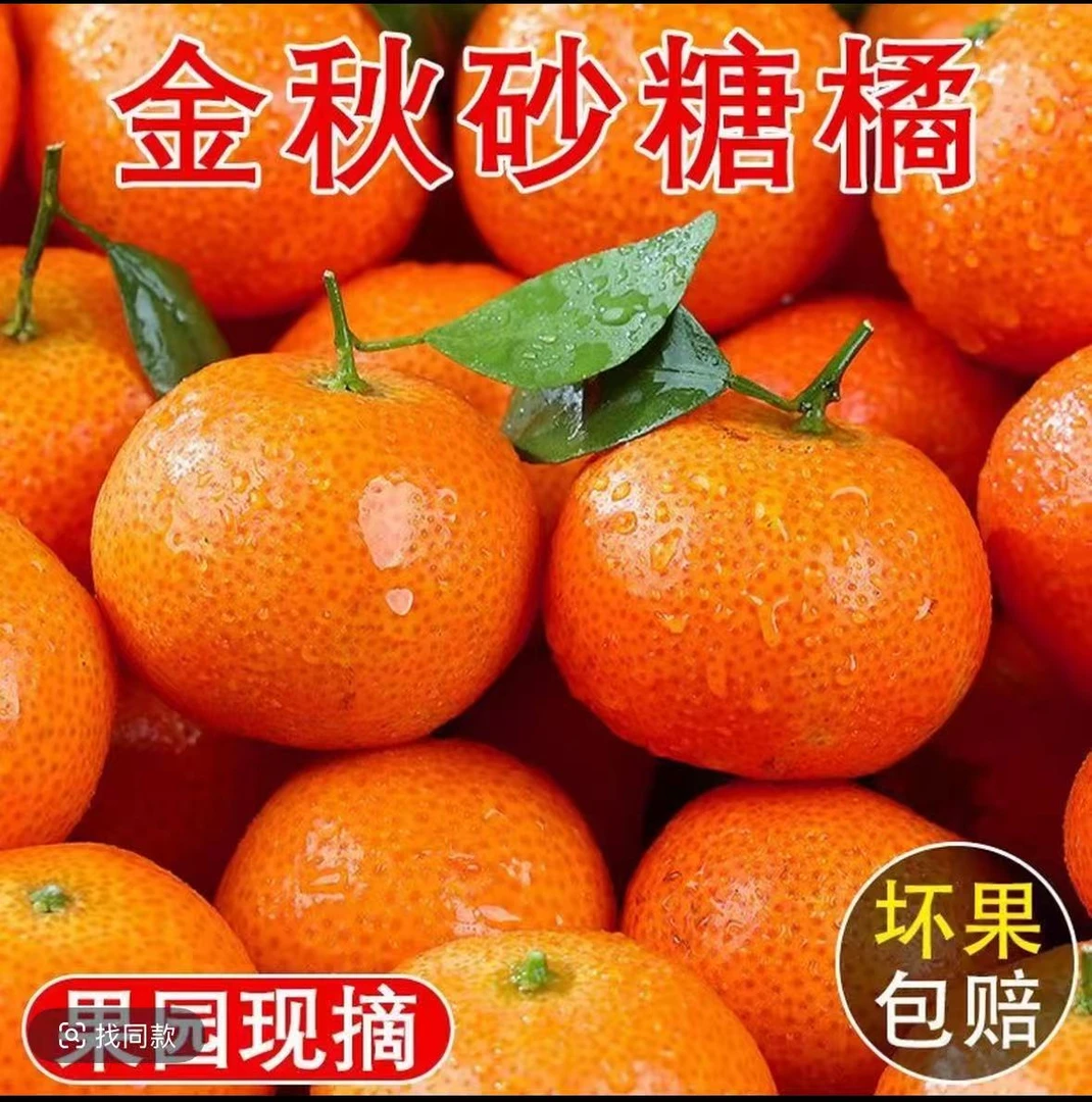 HY新鲜现摘金秋砂糖橘新鲜爆汁 产地直发