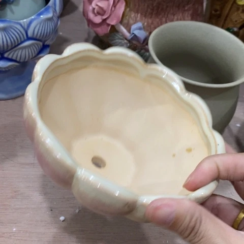 粉色花瓣3131311333