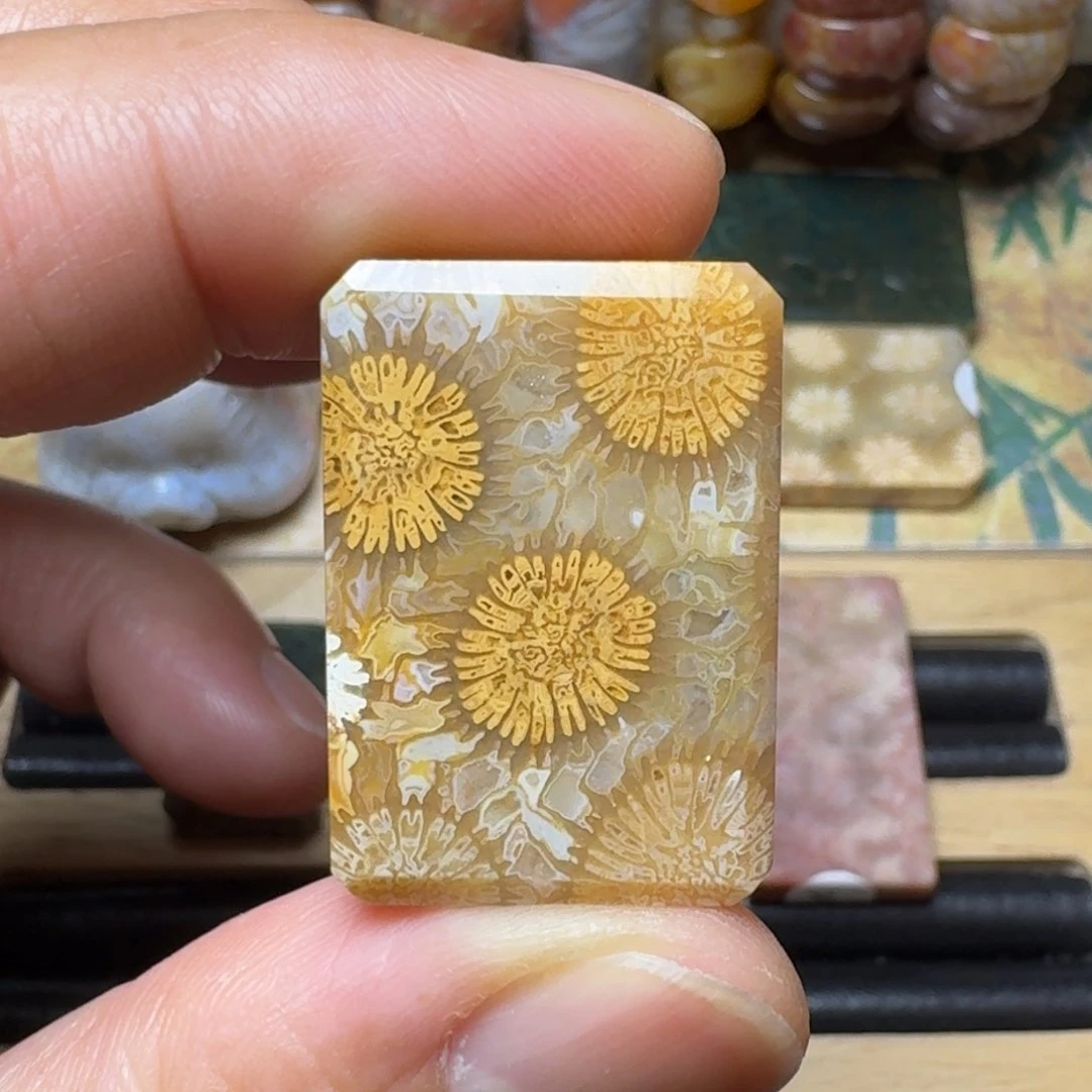 硅化玉天然有机玉石保真色未镶嵌