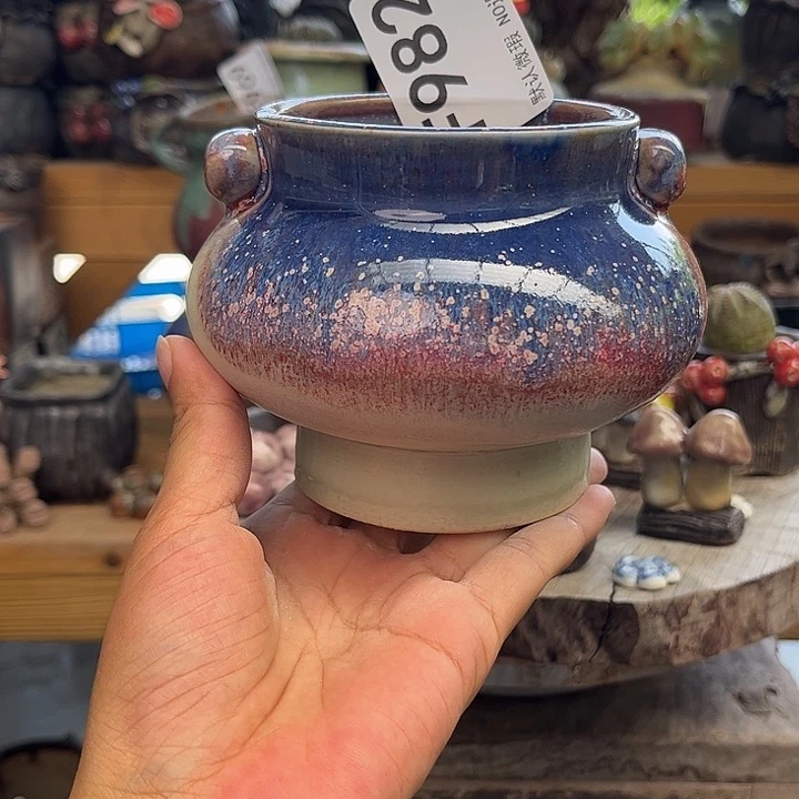 哈哈我想我一定好好982