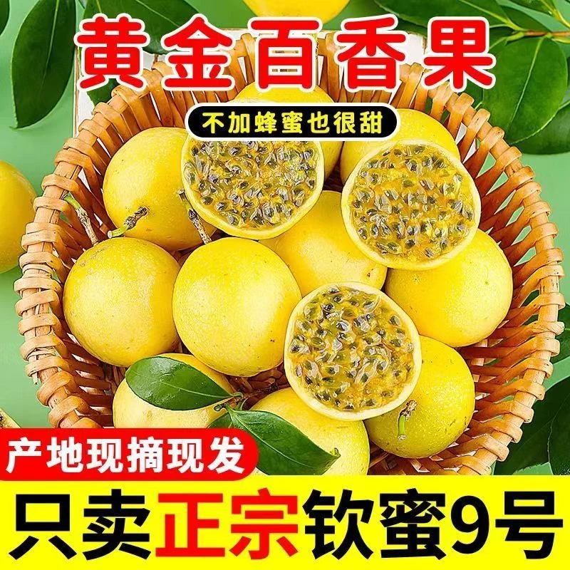 【产地直发】正宗广西钦蜜九号百香果当季水果香甜多汁现摘现发