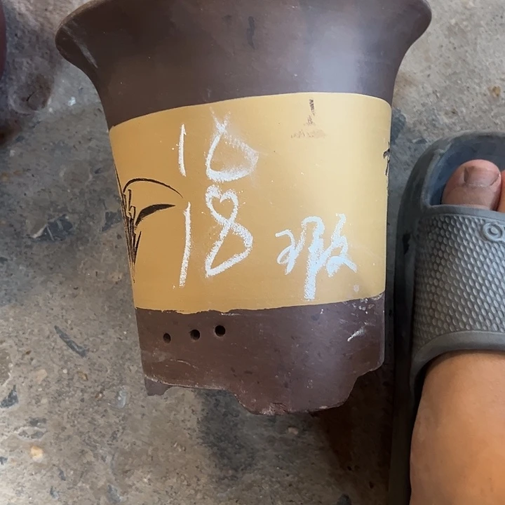 紫砂艺术学院美术