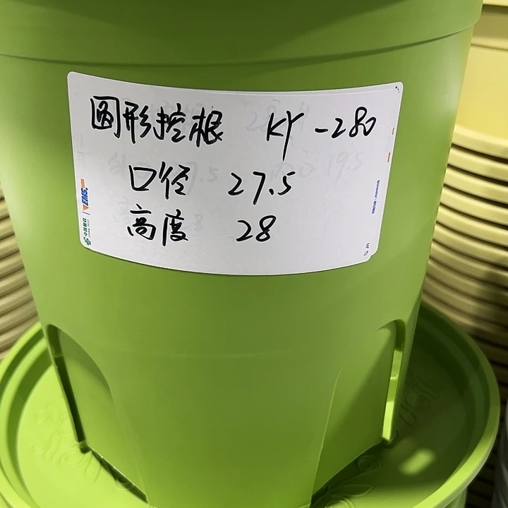 正品圆控口27.5高28果绿5只无托