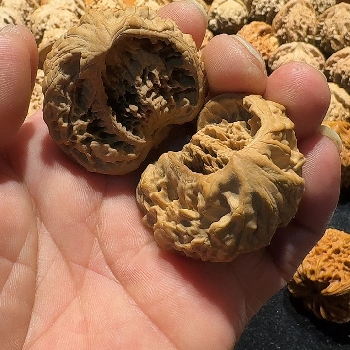 麒麟文大官帽不退不换