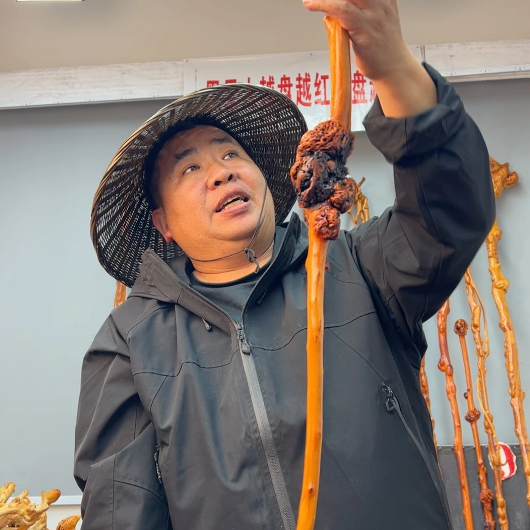 黑果木其他常****店黑果木709