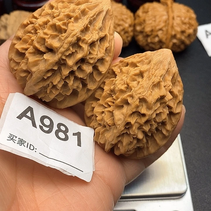 核桃老鼠4.4，克重58.7，