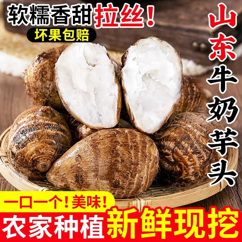 山东牛奶芋头新鲜现挖小毛软糯香滑芋艿新鲜蔬菜竽头小香芋